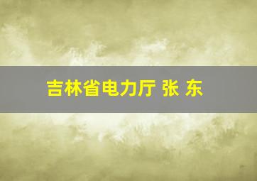 吉林省电力厅 张 东